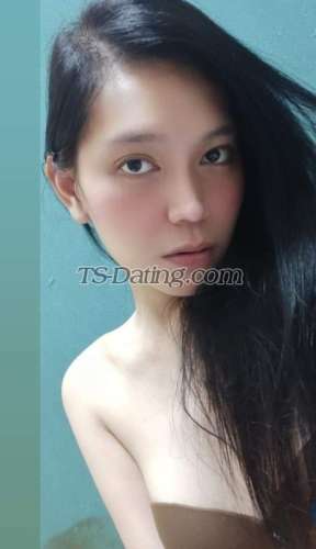 trans girl Kashopeya 7745498 trans girl Kashopeya 7745498