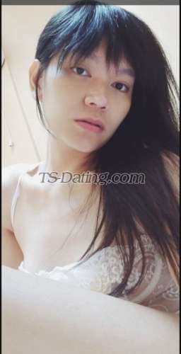 trans girl Kashopeya 7747093 trans girl Kashopeya 7747093