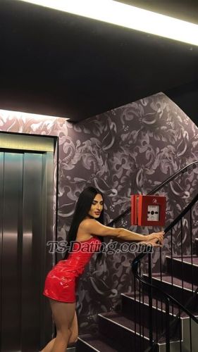 trans girl Kassyxx 3779405