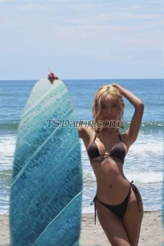 trans girl Katarina024 9609374 trans girl Katarina024 9609374