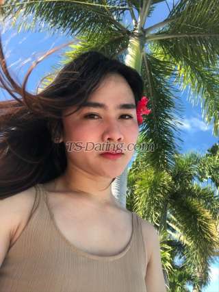 trans girl KathLim01 3033885