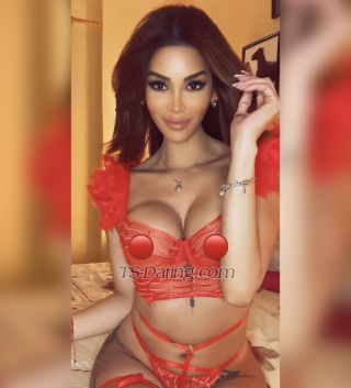 trans girl Katha 5278830 trans girl Katha 5278830