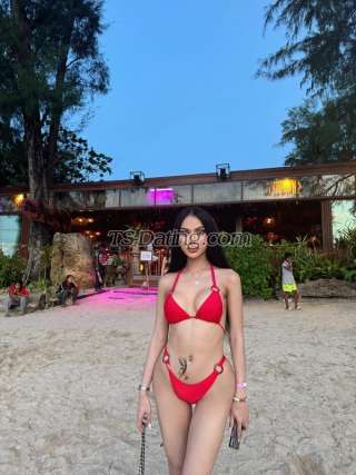 trans girl Katoon1999 0959951 trans girl Katoon1999 0959951