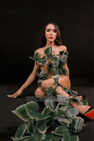 trans girl Katrinacat 8297855 trans girl Katrinacat 8297855