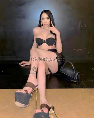 trans girl Katrinacat 9609603