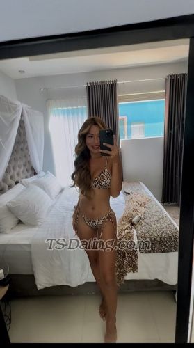 trans girl Katrinbella 5602331 trans girl Katrinbella 5602331