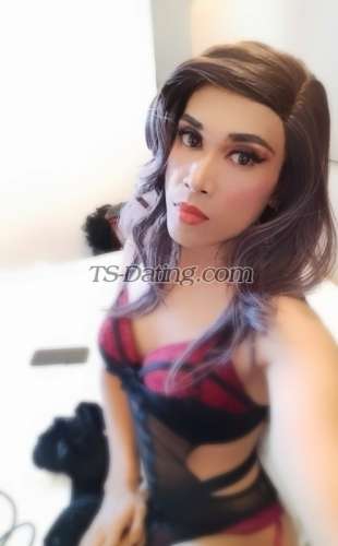 trans girl KattyKinky 5165755 trans girl KattyKinky 5165755
