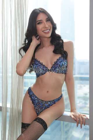 trans girl Katua 2348148