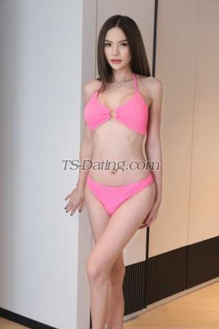 trans girl Katy16127 0200528 trans girl Katy16127 0200528