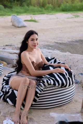 trans girl Kawintra 6043085 trans girl Kawintra 6043085