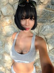 KawintraTS Pattaya Transex ⚠️To be honest, I place a high value on manners, Calling or video calling me without my permission is extremely rude.
⚠️My apologies to the people of ' India '
I did not intend to be racist, but please allow me to suspend service and do not contact me.

Thank you 🙏
