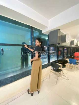 trans girl KayleeR 3377822 trans girl KayleeR 3377822