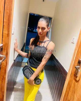 trans girl Kelly999 4885466 trans girl Kelly999 4885466