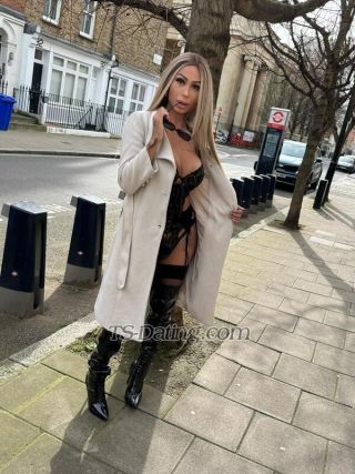 trans girl Kellyaraujo 6993140 trans girl Kellyaraujo 6993140