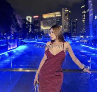 trans girl SeductressTS 4384804