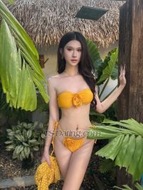 Khawoat Taipei Transex “Hi, my name is Ping Ping. I’m 22 years old, 178 cm
tall, and I haven’t had breast augmentation
surgery.”WhatsApp: 0933061673Line Id:
0933061673https://line.me/ti/p/rJ_b8G6dP3X :
@canday_89WeChat: Kxxwoat24I am both
✅-Party animal 🎆🎇-Girlfriend experience
👩‍❤️‍👨-Friendly and kind-Webcam show
📷-Golden shower 🚿-Fetish clothing
👙-Sex toys 👠-Transgender clientsYou can
tell me your preferences. I look like a woman and have an
Asian face.Hope we have fun and a great time together
💗💗💗