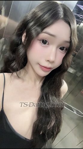 trans girl Khiem1503 1550378 trans girl Khiem1503 1550378