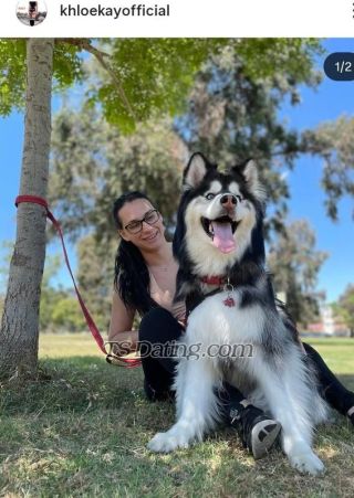 trans girl Khloecandy 1581682 trans girl Khloecandy 1581682