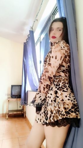 trans girl Khwahis 3410449 trans girl Khwahis 3410449