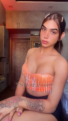 trans girl Kiara25 6208985