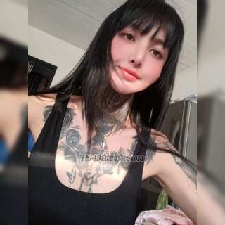 trans girl Kiki4you 9463675 trans girl Kiki4you 9463675