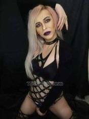 Kimberly6969 Larnaca Transex  Larnaka προγράμματα ενεργητικού και παθητικού ρόλου, με πλήρη στύση και ιδιαίτερα : Mistress & slave, fisting, golden shower, girlfriend experience..video porn with me to.fuck guy
https://onlyfans.com/darcy-trans

Για περισσότερες πληροφορίες μπορείς να επισκεφθείς τη σελίδα μου: 👉 εμπιστοσύνη και προσφέρω απόλυτη διακριτικότητα και εχεμύθεια, που αποτελούν βασικά στοιχεία κάθε συνάντησης. ✔ Καλοί τρόποι και σεβασμός ✔ Υπομονή με αρχάριους ✔ Σοβαρότητα και επαγγελματισμός ✔ Απόλυτη εχεμύθεια (ιδιαίτερα για διακριτικά άτομα) ✔ Σεβασμός στις προσωπικές προτιμήσεις ✔ Μεγάλη έμφαση στην υγιεινή  σοβαρή και απόλυτα υγιής. Διαθέτω πρόσφατες ιατρικές εξετάσεις με αρνητικά αποτελέσματα για HIV και αφροδίσια νοσήματα. 📍 Βρίσκομαι για περιορισμένο χρονικό διάστημα στην Κύπρο και αυτή τη στιγμή εξυπηρετώ στη Λάρνακα. ⚠ ΜΟΝΟ σοβαρά άτομα – δεν απαντώ σε ανούσια μηνύματα.
I offer both active and passive role experiences, with full performance and a highly engaging presence. Services: Mistress & slave, fisting, golden shower, girlfriend experience, BDSM, WS, piggy pay, role play, companionship with a psychological approach, cross dressing, outdoor meetings, intimate experiences, and play with toys (dildo, etc.). For more information, you can visit my page: 👉 value trust and provide complete discretion and confidentiality, which are essential elements of every meeting...
