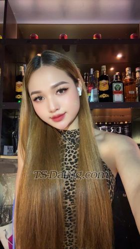 trans girl Kimmy 5833687 trans girl Kimmy 5833687