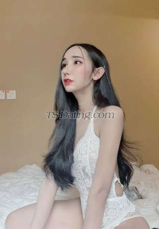 trans girl Kitty21 2138251