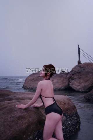 trans girl Kitty6789 4427823 trans girl Kitty6789 4427823