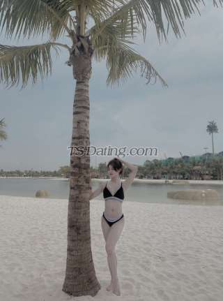 trans girl Kitty6789 6593343 trans girl Kitty6789 6593343