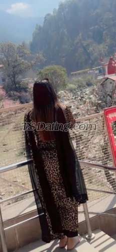 trans girl Kitty69 0475556