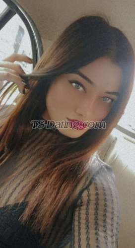 trans girl Kitty69 3812301