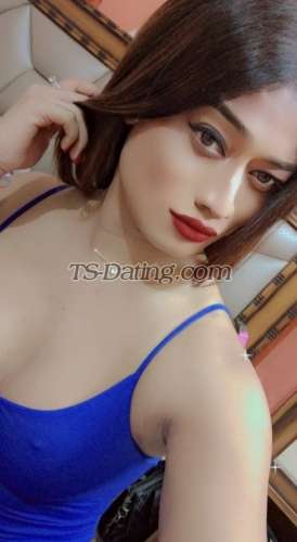 trans girl Kitty69 3812860