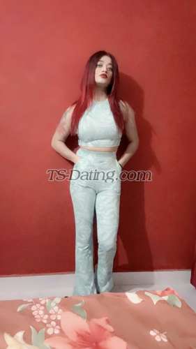 trans girl Kitty69 4248771