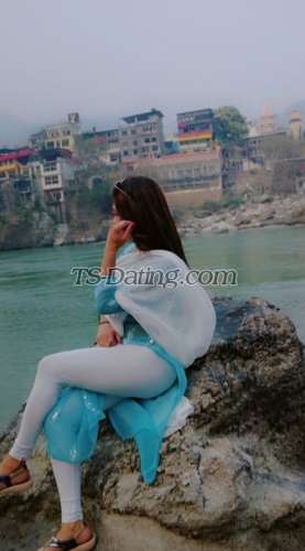 trans girl Kitty69 5032306