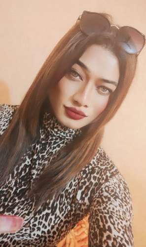 trans girl Kitty69 6246431