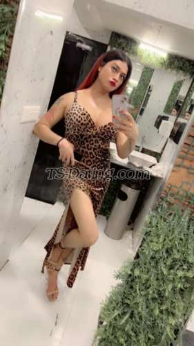 trans girl Kitty69 6735715