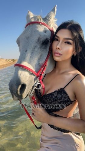 trans girl KkCat 7521427