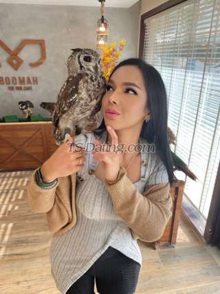 trans girl KkCat 8735003 trans girl KkCat 8735003