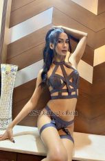 Kristin Bell Delhi Transex Hi Guys! 
My name is Kristin, your best companion with graceful/ sophisticated personality . 
Asian Trans available here 

I have got a beautiful toned body as my profession is Modeling and I stand 5' 11 with the sexiest legs. 
I am attentive to the Slightest of ur fantasies, and naturally sweet with dominant side you love to know. 

Love messages | First- timers | gf experience | role play | BDSM | open for possibilities. 
I only play safe. 

Looking forward to meet classy people and with open minded. 
Time waster  stay away. 

Video call, incall, outcall.. Available. 

If u want to see heaven, I can bring it for u 🤪😘🌸❤


