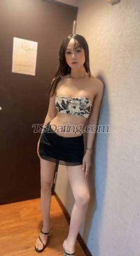 trans girl Kristinaloy 8233156 trans girl Kristinaloy 8233156