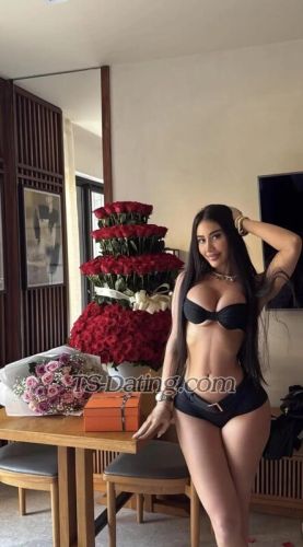 trans girl Kristynalll 0589707 trans girl Kristynalll 0589707