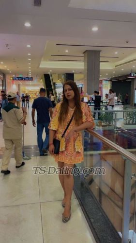 trans girl KrystalSweet 7906419 trans girl KrystalSweet 7906419