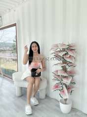 Kubkif Taipei Transex Hi~ my name is Kubkif 😜 
Im From Thailand 🇹🇭
🍆 
✅Bottom 
✅Top 
✅Blowjob

✅handjob 
✅69possition 
✅kiss

✅condom 
I can take care you everything 
can
cum together 
Incall / outcall 
Chat Line
WhatsApp
Tell me what do you want babe😘 

Let
have fun!!!!❤️

Contact
💌 Line ID :
kubkif.sexy
💌 Wechat : kubkif69
💌 What’sapp
: +66644104373