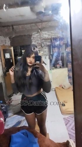 trans girl Kylashyamala 3708230 trans girl Kylashyamala 3708230