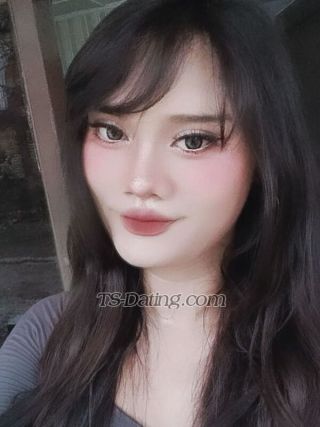 trans girl Kylashyamala 3762526 trans girl Kylashyamala 3762526
