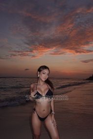 Kylie Yee Penang Transex Hello there. 

“Luxury isn’t a look — it’s a presence. And baby, I am the presence.”

💋 About Me 

I’m not the type you scroll past. I’m the one you fantasize about in silence — and remember long after I’m gone. Standing 170cm tall with a sultry slim-fit frame, 65kg of sculpted curves, and a natural D-cup to complete the picture… I’m the perfect blend of softness and control.

My energy is addictive, my confidence is unmatched, and my company? Exquisite. I’m selective with who I spend time with because I value chemistry, discretion, and high standards. I’m not here for everyone — I’m here for the powerful few who understand the difference between a price… and value. 

💘 Choose Your Experience: 

🌹 The Girlfriend Experience (GFE)

Soft, sensual, and emotionally immersive. I don’t just keep you company — I make you feel desired, adored, and completely unraveled.
	•	Slow kisses, whispered teasing, and intimate eye contact
	•	Light cuddling, affectionate touches, shared laughter
	•	Sweet seduction that builds naturally — like a forbidden crush
	•	Conversations that feel real, deep, and addictive
	•	Every moment feels personal, like you’re mine (but only for the night)

This is the kind of night you replay in your head. The kind that feels like love — until I’m gone.

⸻

🔥 The Dominant Fantasy

For the ones who want to surrender. You don’t guide the night — I do. And trust me, I know exactly what to do with you.
	•	Bold, confident energy from the moment I arrive
	•	Eye contact that makes you nervous… in the best way
	•	Light domination, teasing control, power play (at your comfort level)
	•	You’ll be touched when I allow it — and how I want it
	•	A magnetic mix of pain and pleasure, all under my rules

I don’t ask. I instruct. I don’t beg. I reward. If you’ve never experienced a woman who knows how to lead — let me show you what you’ve been missing.


💬 Want both? Let me decide the rhythm. I can be soft in your lap, or take charge in your sheets. Either way, you’ll be begging for more.


🕰️ Availability:

I’m available by advance booking only — I respect both your time and mine. My preference is for respectful, generous clients who value exclusivity, elegance, and good energy.

Available for:
	•	Private dinners
	•	Overnight indulgence
	•	Weekend getaways
	•	Travel companionship (passport-ready)
	•	Discreet elite meetings

I offer tailored experiences, not rushed sessions. My time is reserved for clients who seek quality, discretion, and connection.
	

All rates are for time and companionship only.

📩 How to Book:

Ready to experience something unforgettable?
I’m available by appointment only and respond to polite, respectful inquiries.

Contact Me Via:
	•	📱 WhatsApp: [+60199948925] 
	•	 Telegram:[@yourbabynawa] (for longer bookings or travel)
	•	📍Location: Malaysia – available for domestic & international travel

Please include:
	•	Your name
	•	Date/time you’re requesting
	•	Duration (1hr, dinner, overnight, etc.)
	•	Your city/location
	•	A short, respectful intro — I only respond to gentleman energy.

🚫 No calls. No explicit messages. Respect my time, and I’ll reward yours.
💎 Discretion guaranteed. My world is invitation-only — now you just need to ask properly.

“I don’t rush. I don’t settle. And I don’t repeat what isn’t worth remembering. If you’re looking for an experience that stays with you — now you know where to find me.”
