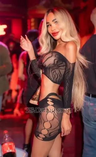 Shemale katitasexy 3571556 Shemale katitasexy 3571556