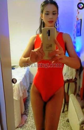 trans girl kattoy 3748554 trans girl kattoy 3748554