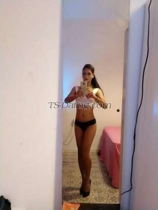 trans girl kattoy 7183652 trans girl kattoy 7183652